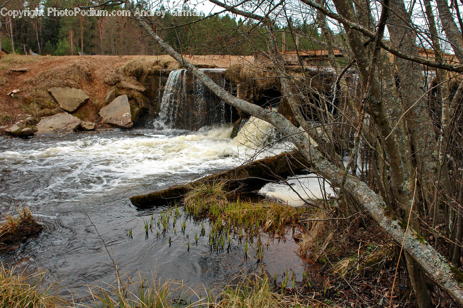 Creek, Outdoors, River, Water, Seaweed, Waterfall, Forest