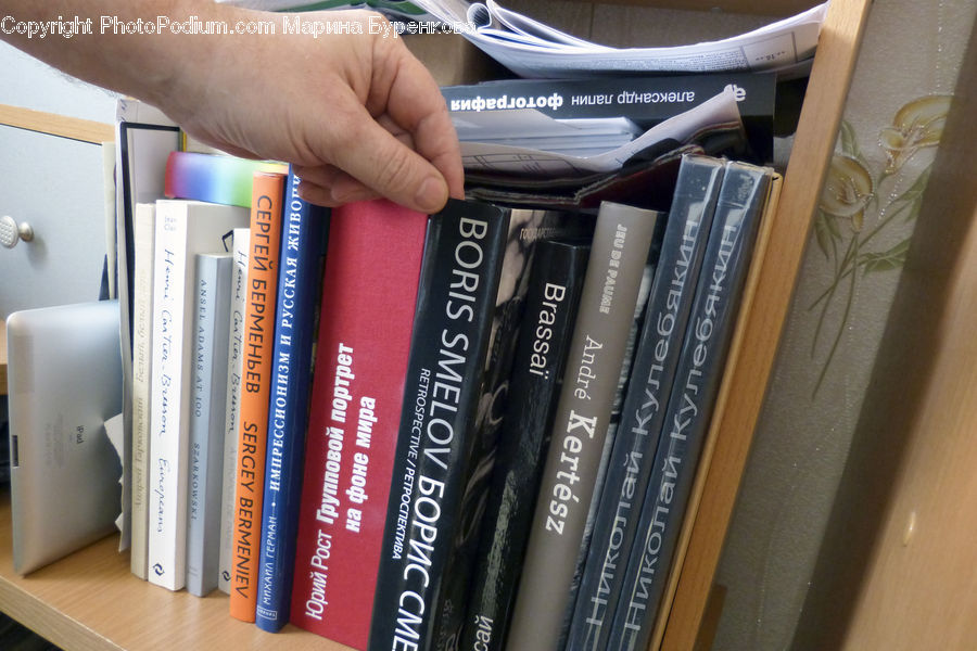 Book, Text, Bookcase, Furniture, Shelf, Box, Cardboard
