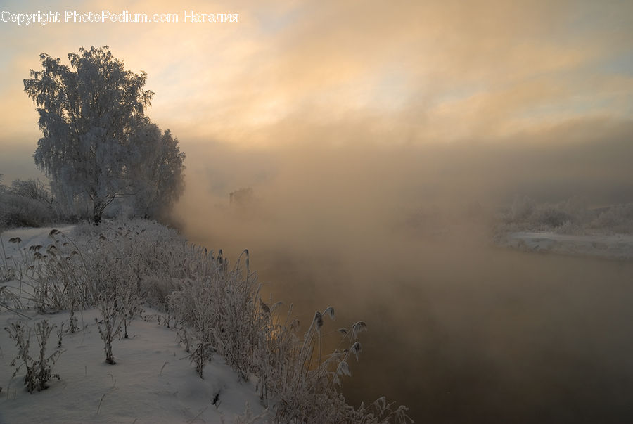 Ice, Outdoors, Snow, Frost, Sand, Soil, Conifer