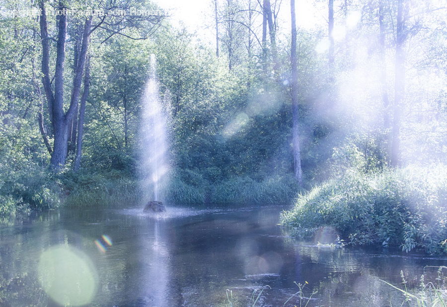 Fountain, Water, Forest, Vegetation, Outdoors, River, Waterfall