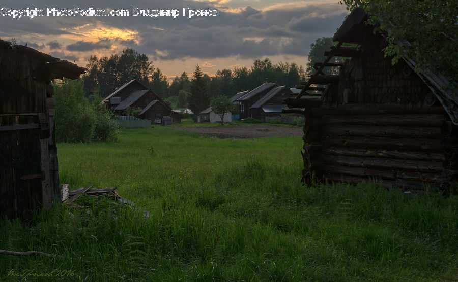 Plant, Potted Plant, Bench, Building, Cottage, Housing, Architecture