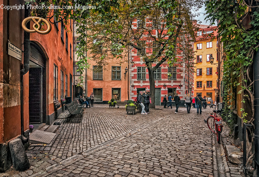 Cobblestone, Pavement, Walkway, Ivy, Plant, Vine, Alley