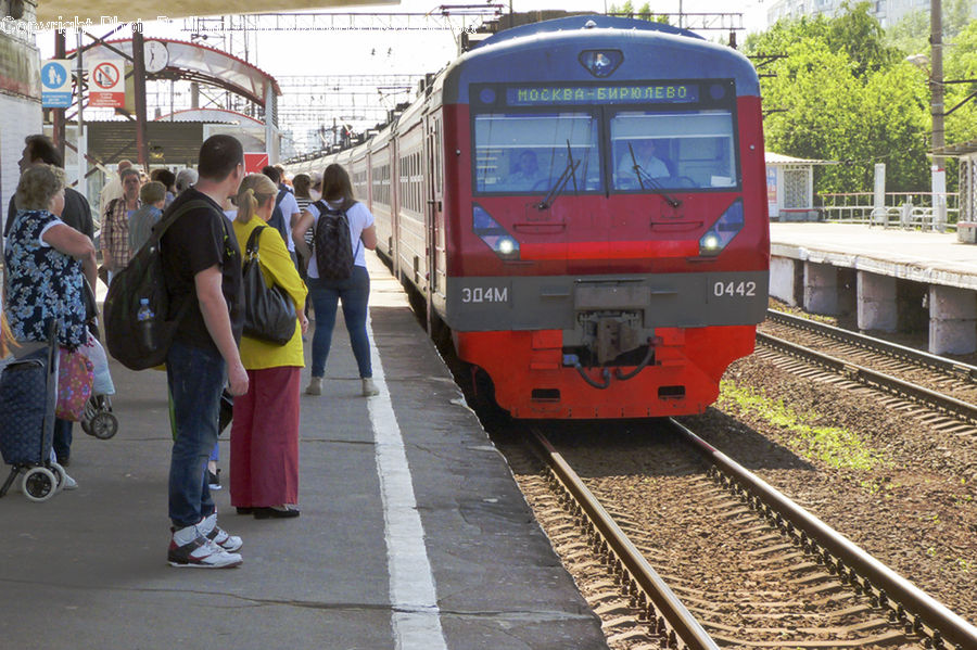 Human, People, Person, Train, Vehicle, Crowd, Bicycle