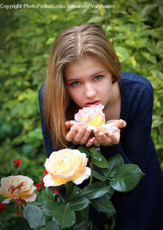 People, Person, Human, Blossom, Flower, Plant, Rose