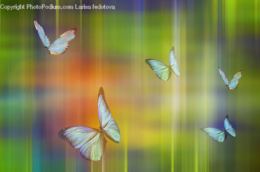 Fiber, Flax, Flora, Flower, Plant, Butterfly, Insect