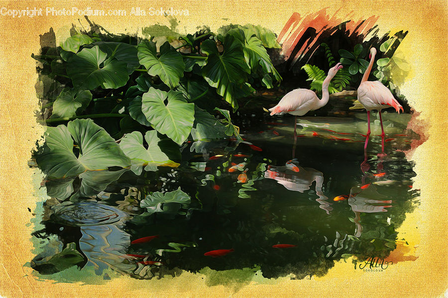 Bird, Flamingo, Flock, Aquarium, Aquatic, Sea Life, Water