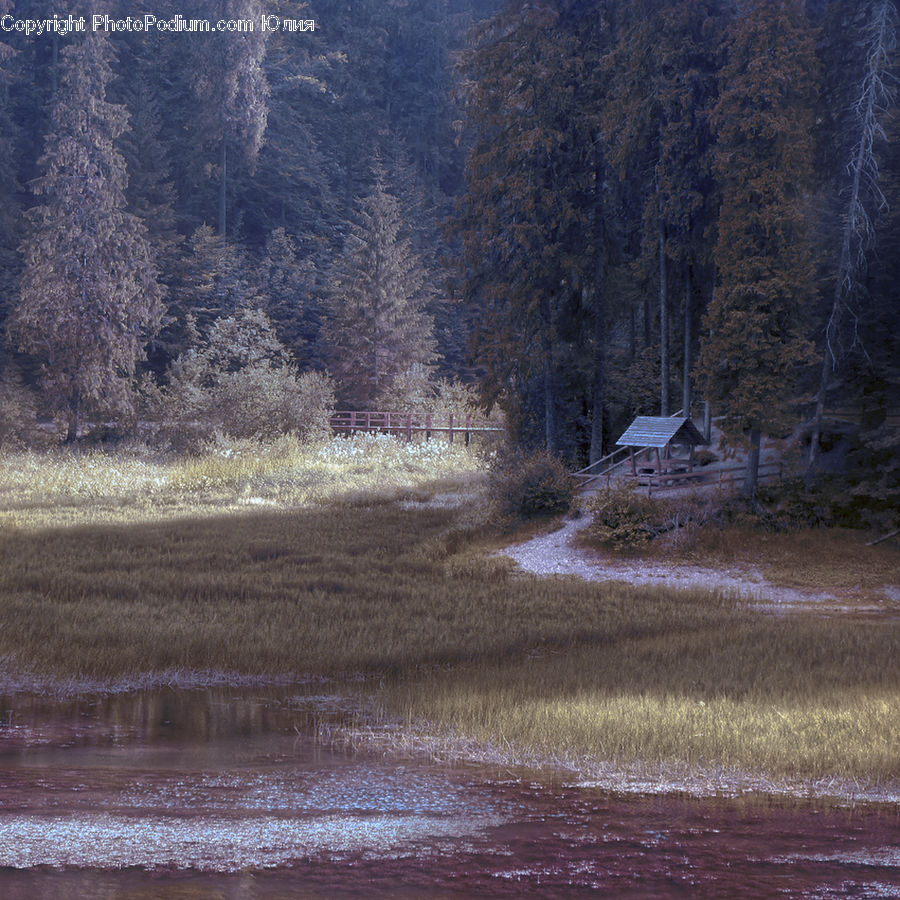 Building, Cottage, Housing, Dirt Road, Gravel, Road, Cabin