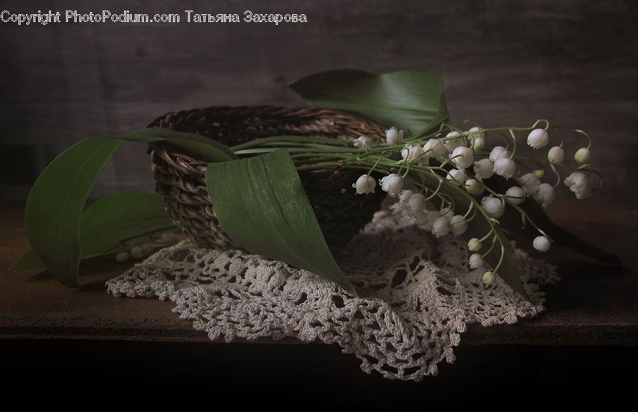 Flower, Flower Arrangement, Flower Bouquet, Blossom, Lilac, Plant, Ikebana