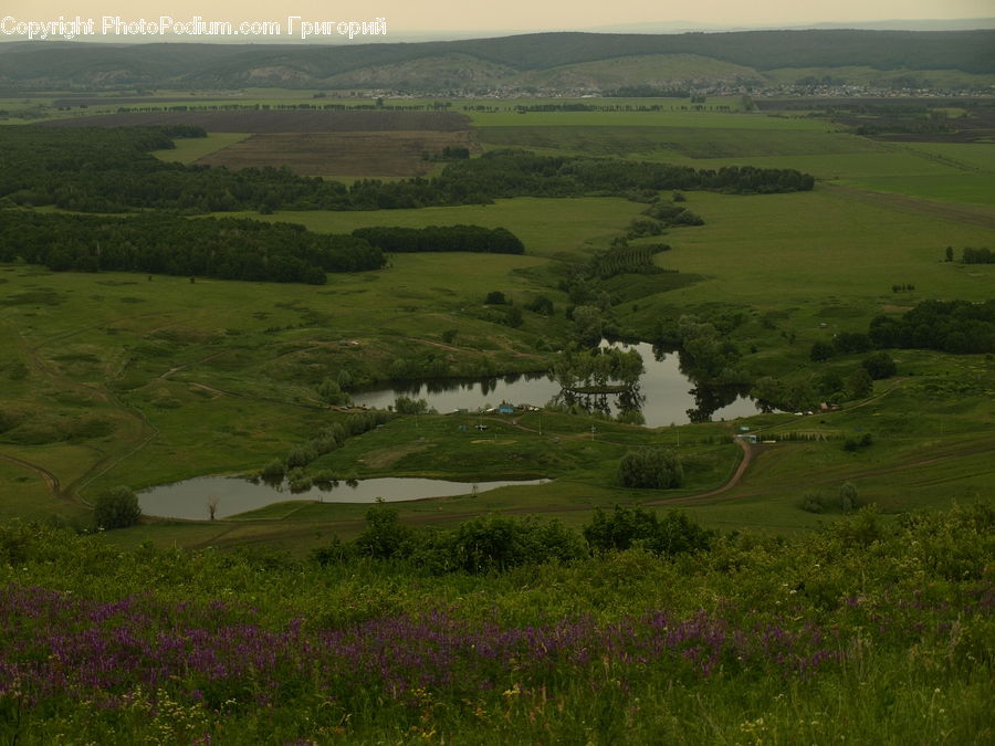Field, Grass, Grassland, Land, Outdoors, Countryside, Meadow