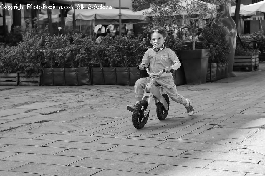 Plant, Potted Plant, People, Person, Human, Umbrella, Tricycle