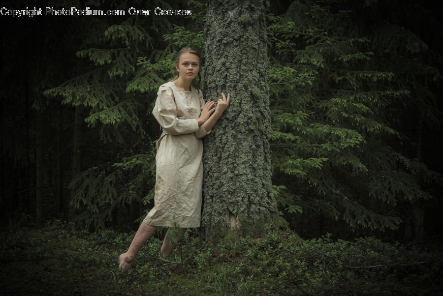 Human, People, Person, Forest, Jungle, Rainforest, Vegetation