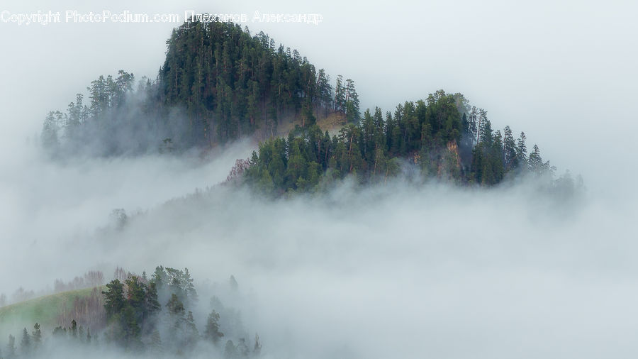 Fog, Mist, Outdoors