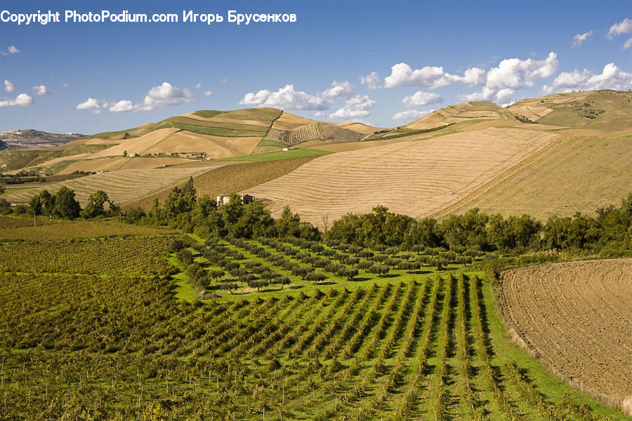 Countryside, Hill, Outdoors, Field, Grass, Grassland, Land
