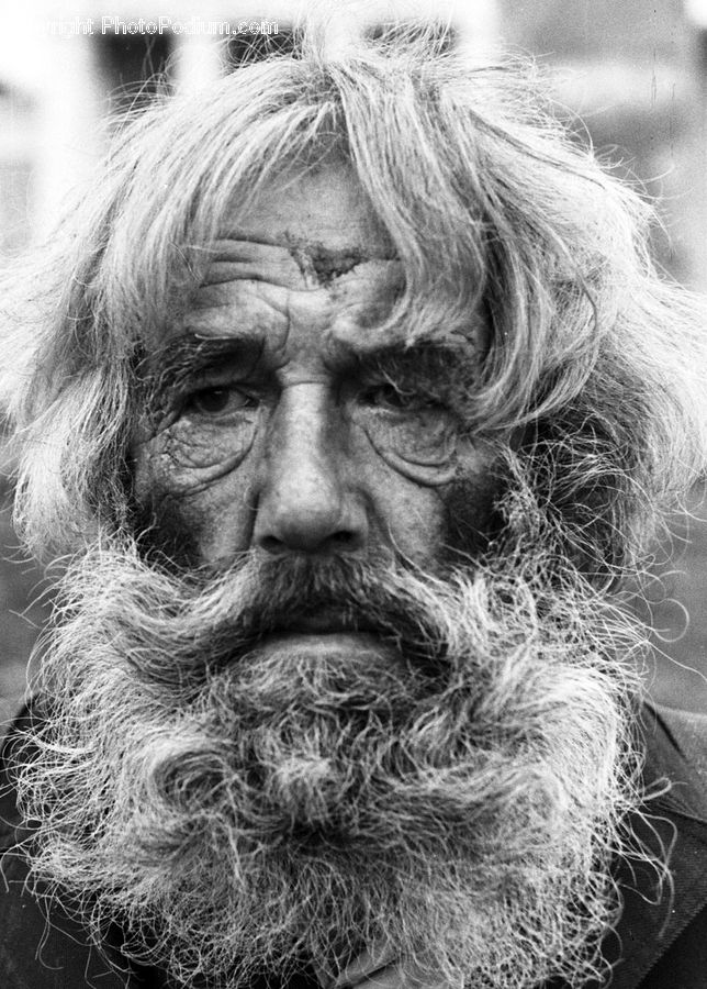 Beard, Hair, Person, Portrait, Face, Head
