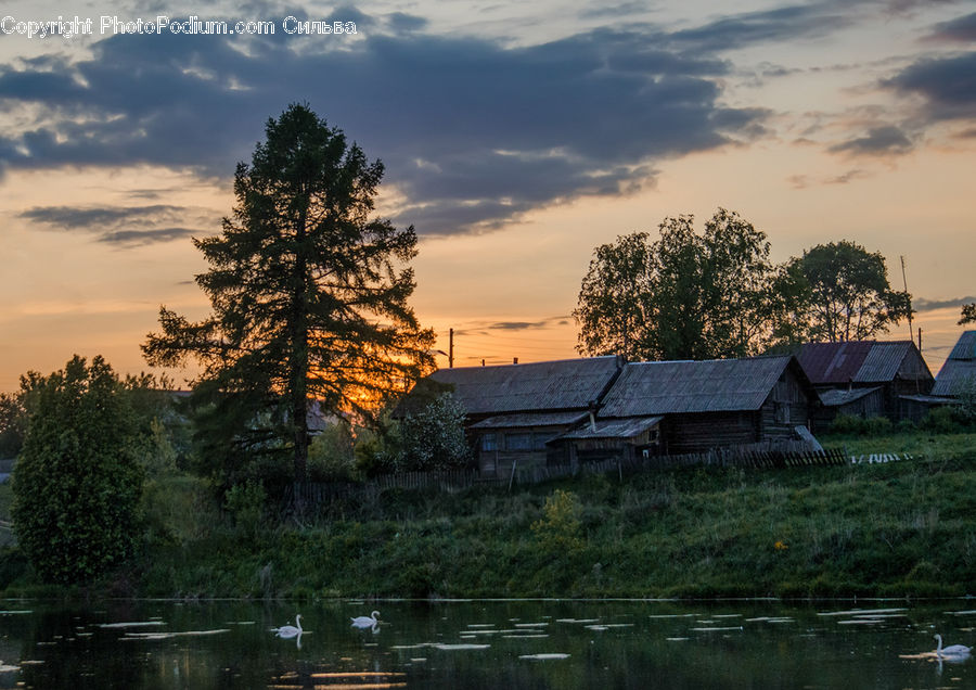 Cabin, Hut, Rural, Shack, Shelter, Countryside, Field