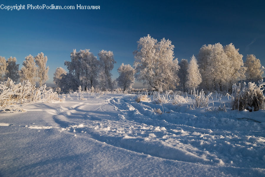 Frost, Ice, Outdoors, Snow, Landscape, Nature, Scenery