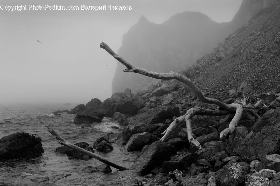 Anchor, Hook, Coast, Outdoors, Sea, Water, Rock