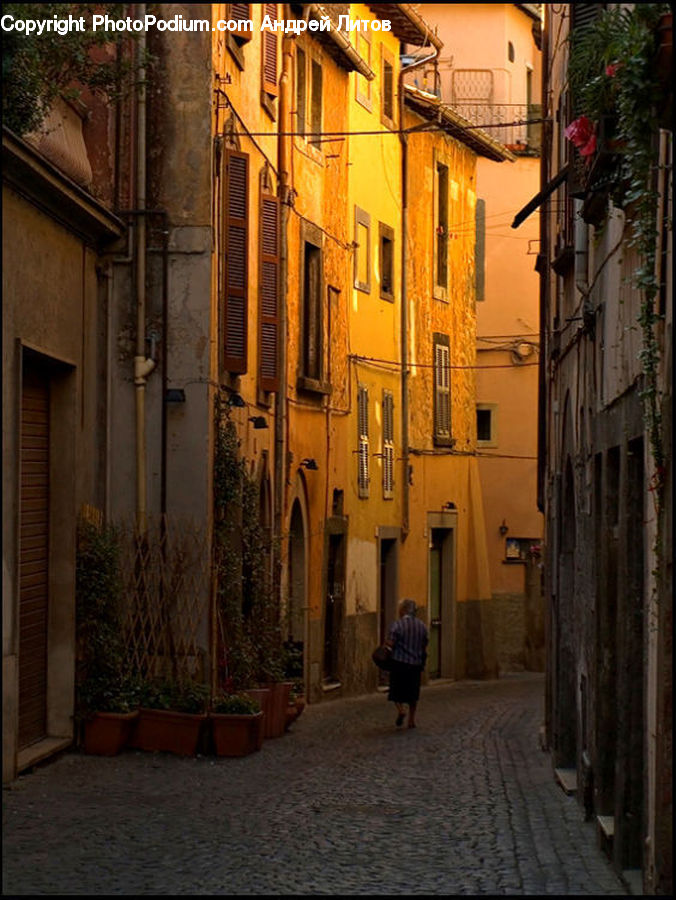 Alley, Alleyway, Road, Street, Town, Plant, Potted Plant