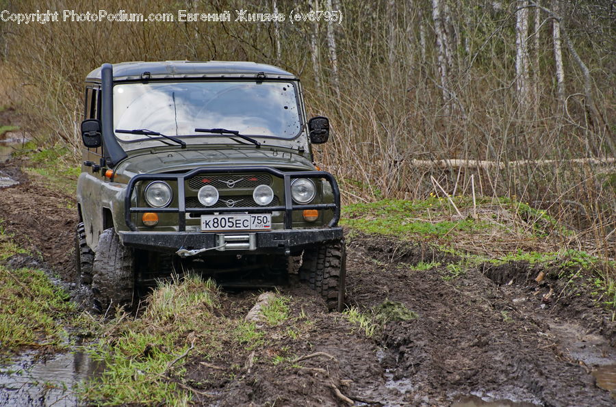 Car, Offroad, Jeep, Vehicle, Land, Marsh, Outdoors