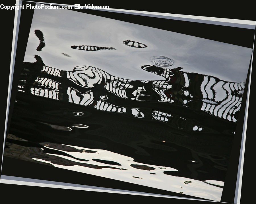 Flyer, Poster, Brochure