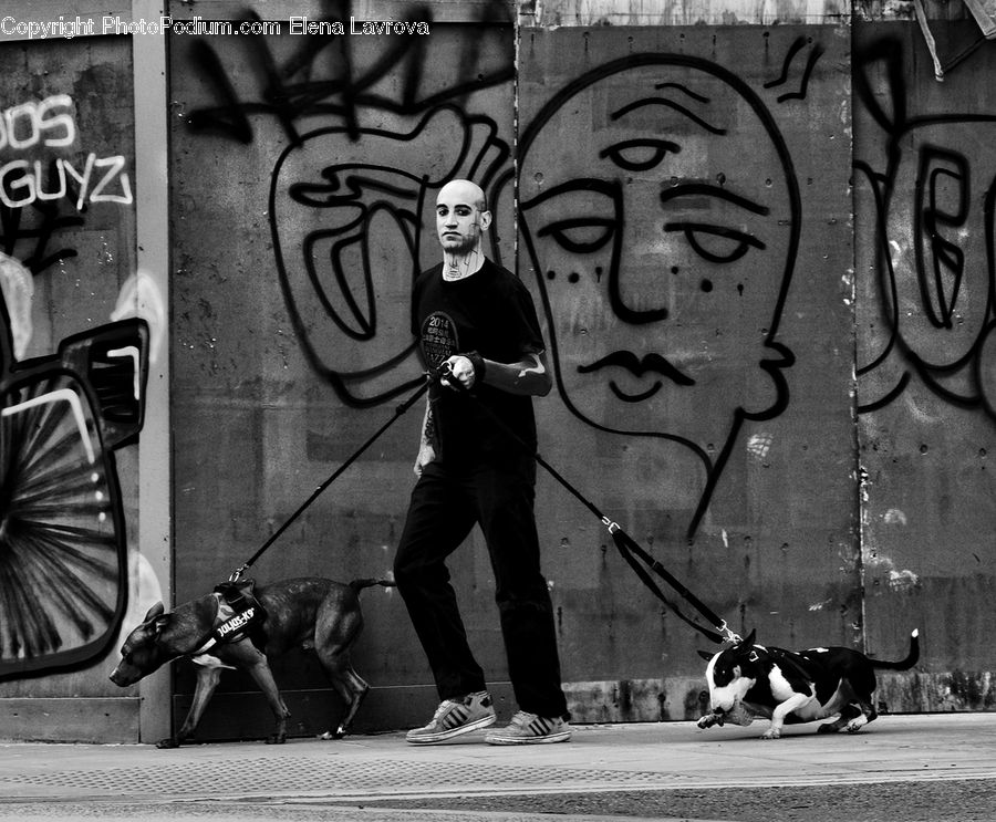 People, Person, Human, Art, Graffiti, Mural, Wall