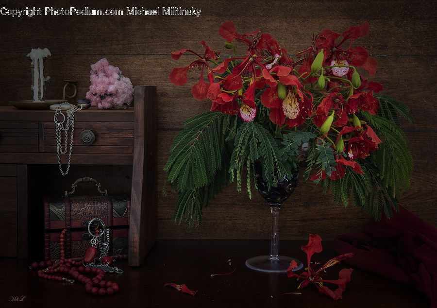 Plant, Potted Plant, Floral Design, Flower, Flower Arrangement, Flower Bouquet, Ikebana
