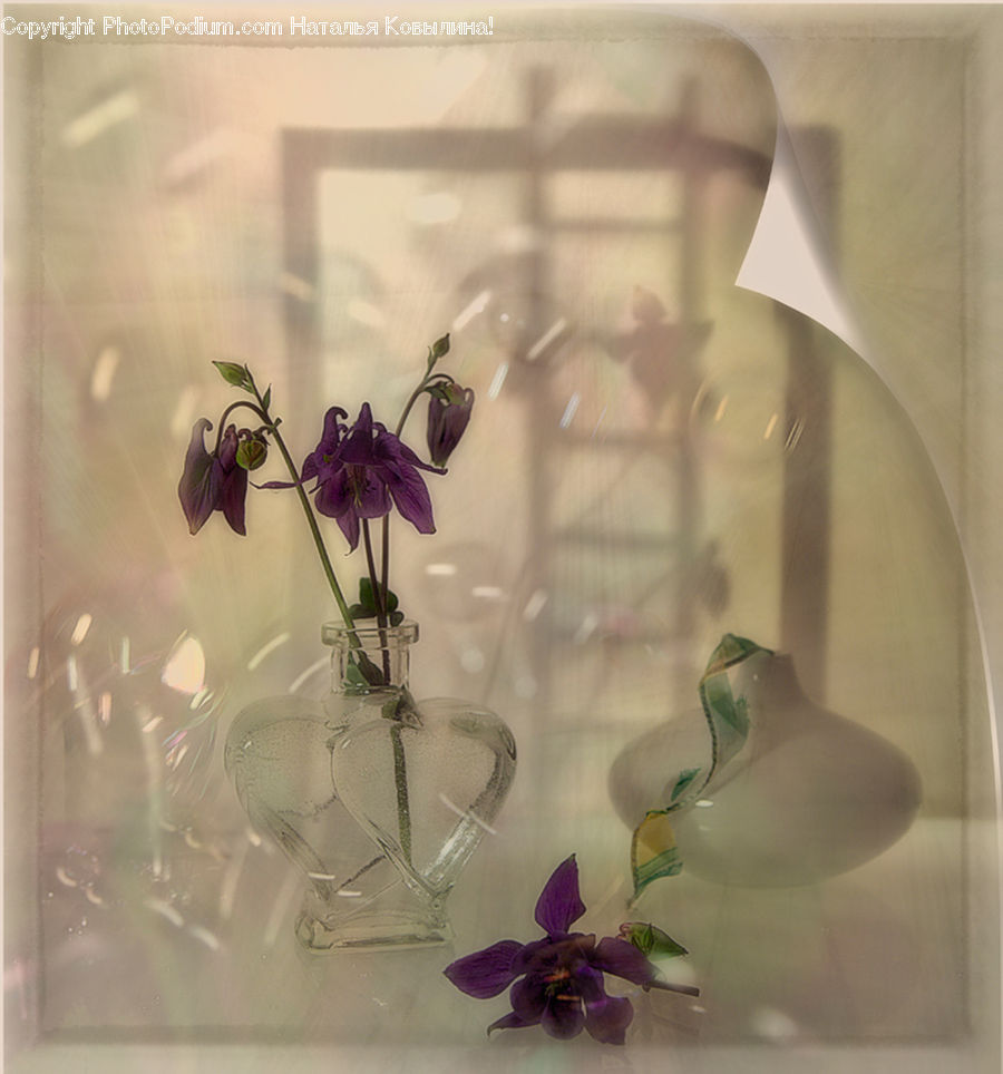 Flower Arrangement, Ikebana, Plant, Potted Plant, Vase, Glass, Blossom