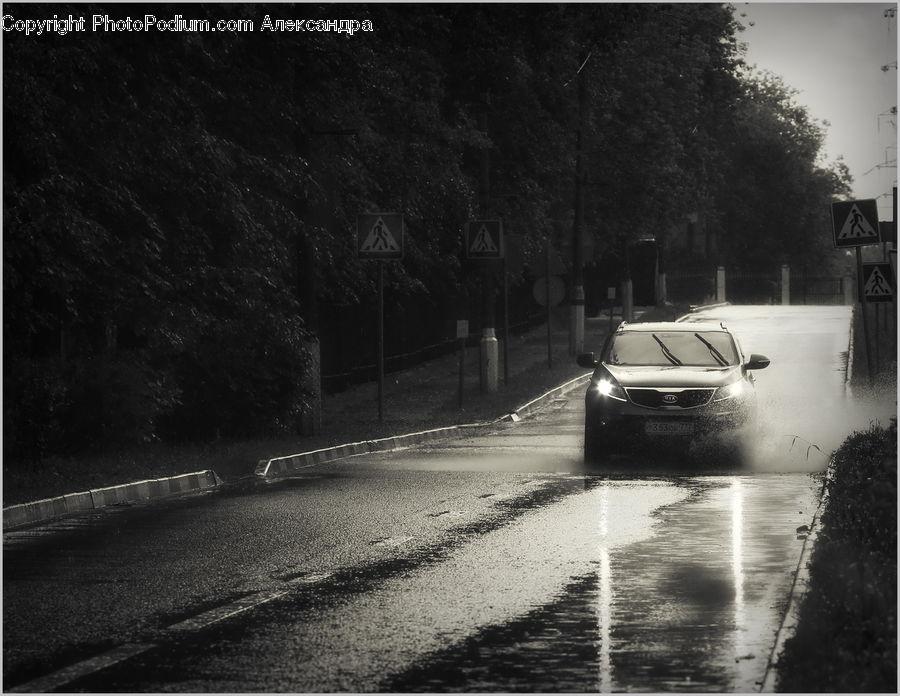 Automobile, Car, Vehicle, Parking, Parking Lot, Sedan, Road
