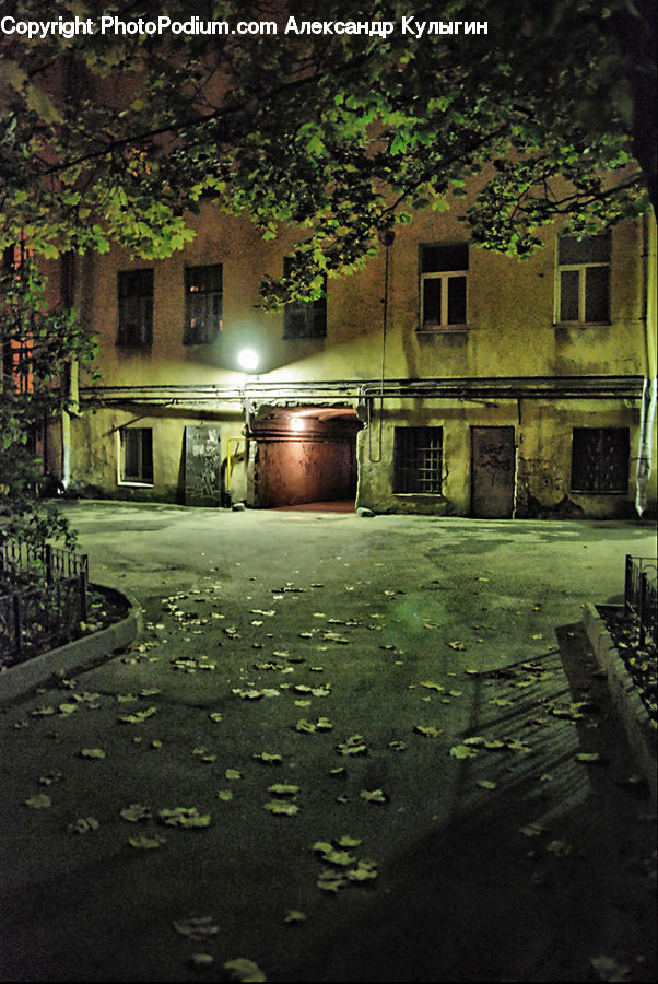 Plant, Potted Plant, Cobblestone, Pavement, Walkway, Vine, Architecture