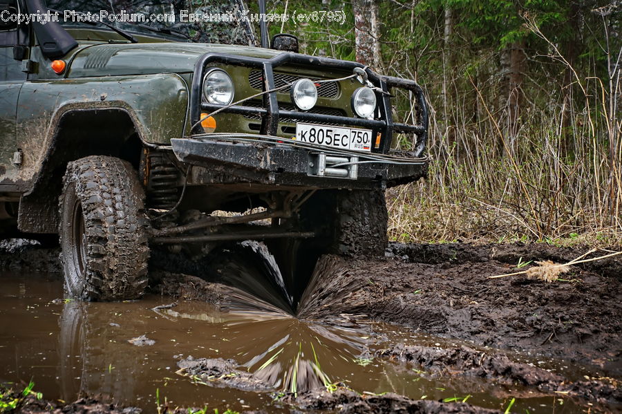 Car, Offroad, Automobile, Vehicle, Bumper, Jeep, Sedan