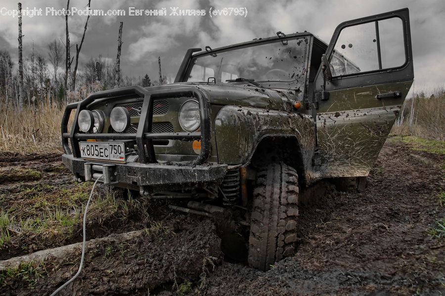 Car, Offroad, Headlight, Light, Van, Jeep, Vehicle