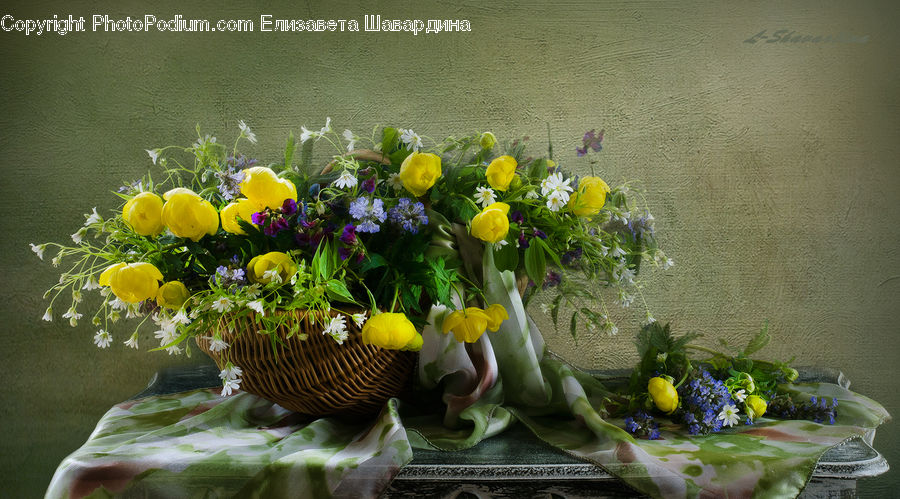 Plant, Potted Plant, Floral Design, Flower, Flower Arrangement, Flower Bouquet, Ikebana