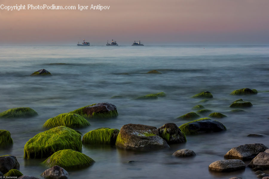 Rock, Algae, Water, Beach, Coast, Outdoors, Sea