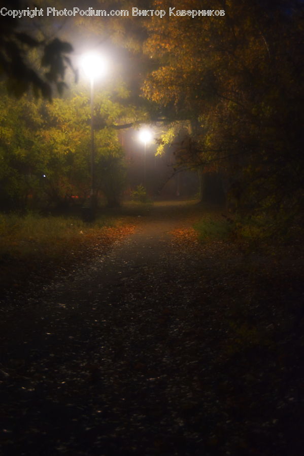 Dirt Road, Gravel, Road, Flare, Light