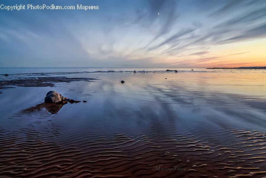 Outdoors, Ripple, Water, Bird, Waterfowl, Beach, Coast
