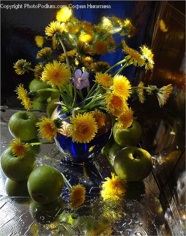 Floral Design, Flower, Flower Arrangement, Flower Bouquet, Ikebana, Daisies, Daisy