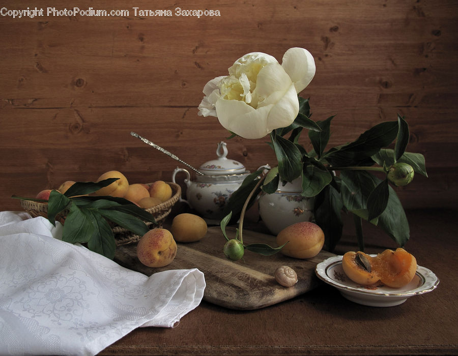 Plant, Potted Plant, Glass, Goblet, Apple, Fruit, Floral Design