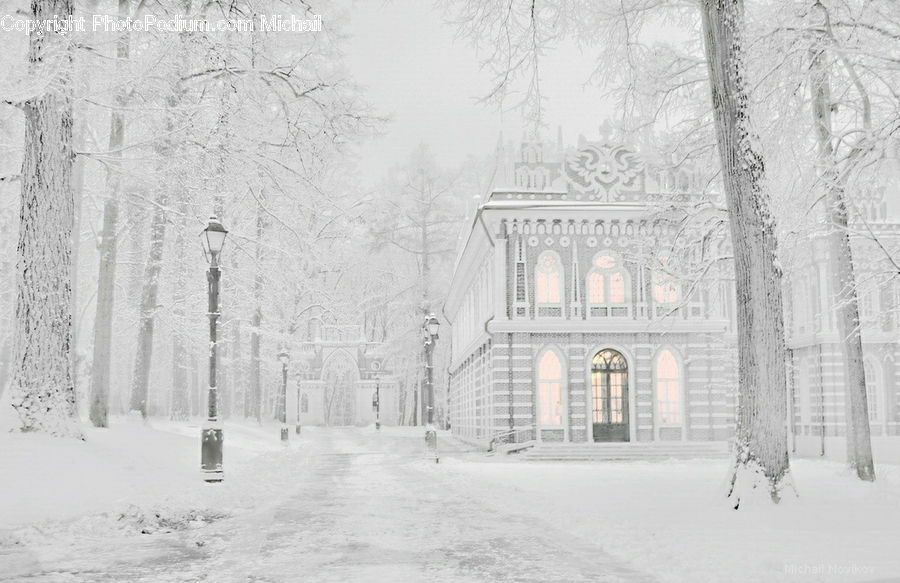 Blizzard, Outdoors, Snow, Weather, Winter, Ice