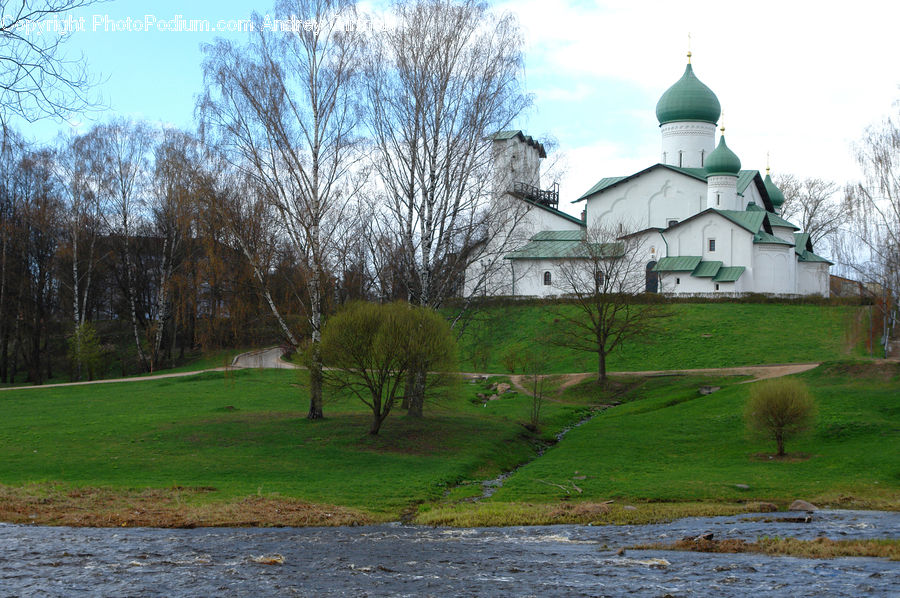 Park, Architecture, Dome, Field, Grass, Grassland, Plant