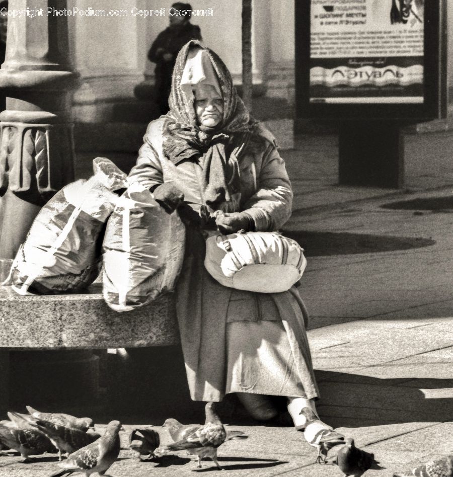 People, Person, Human, Bench, Flyer, Poster, Brochure
