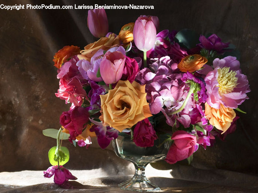 Blossom, Flora, Flower, Plant, Potted Plant, Flower Arrangement, Flower Bouquet