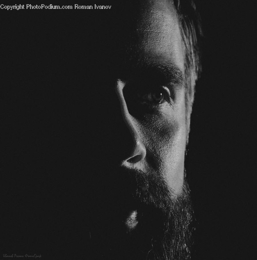 Beard, Hair, Person, Portrait, Face