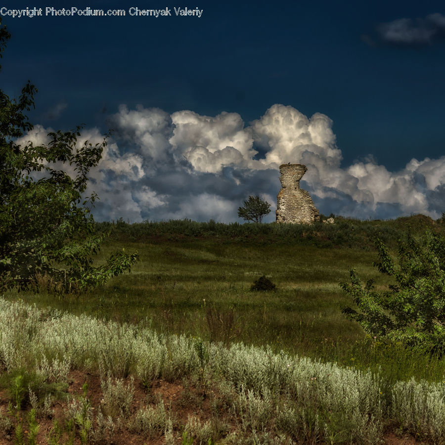 Field, Grass, Grassland, Land, Outdoors, Cloud, Cumulus