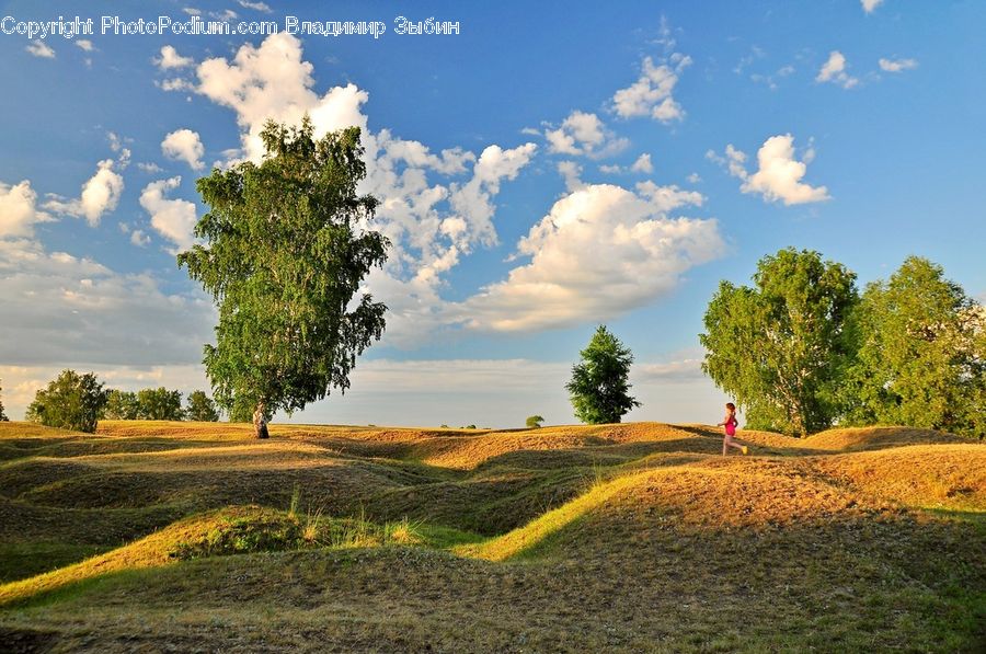 Dirt Road, Gravel, Road, Field, Grass, Grassland, Land