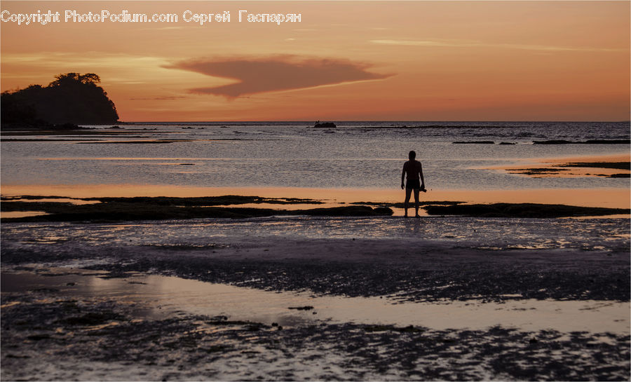 Beach, Coast, Outdoors, Sea, Water, Landscape, Nature
