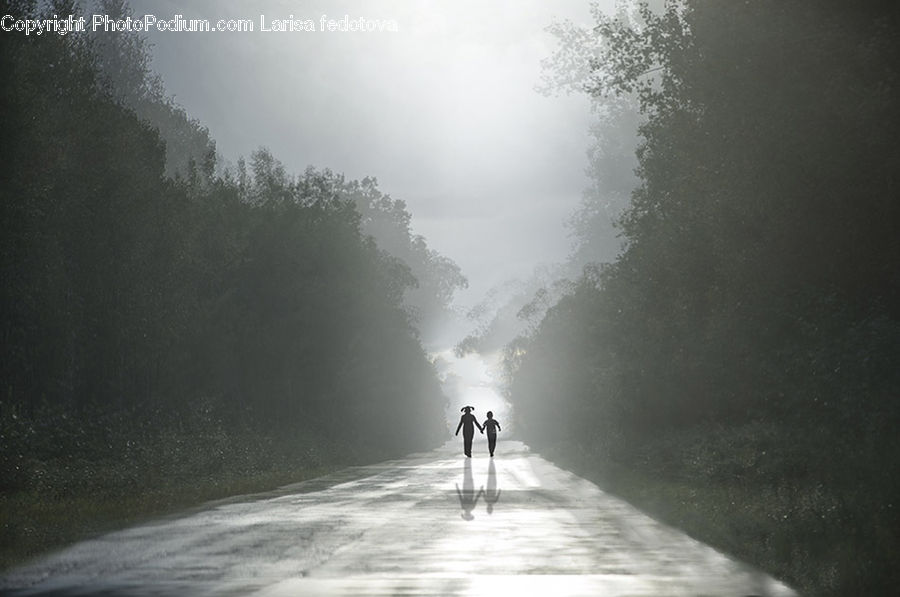 Dirt Road, Gravel, Road
