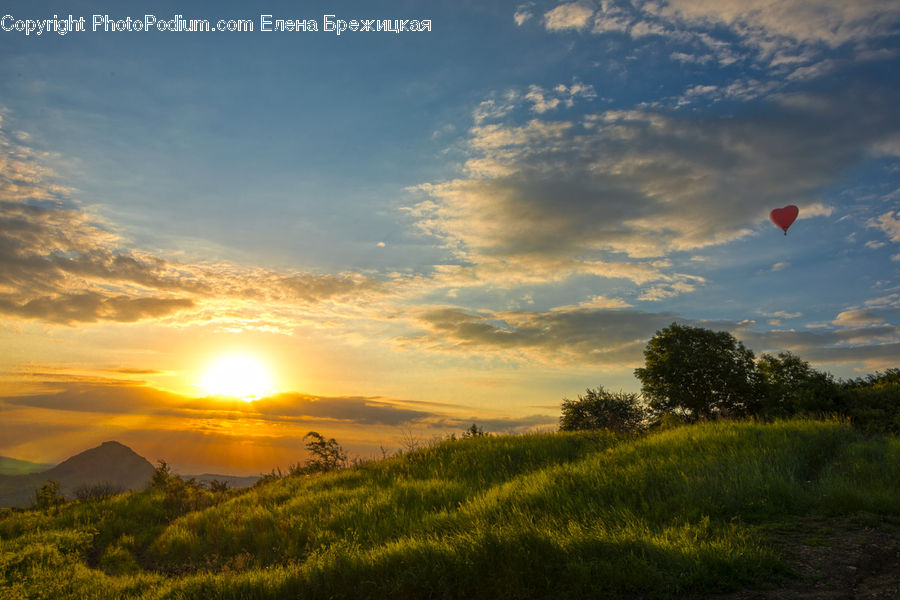 Field, Grass, Grassland, Land, Outdoors, Azure Sky, Cloud