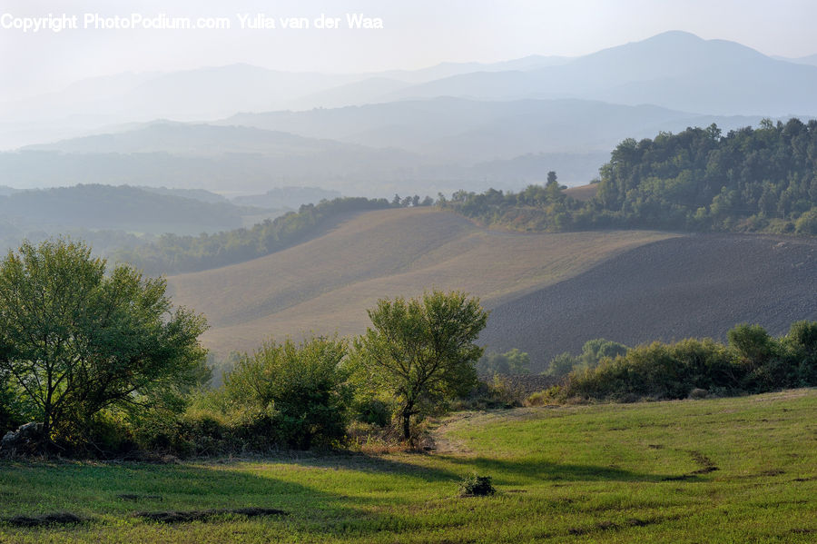 Field, Grass, Grassland, Land, Outdoors, Countryside, Hill
