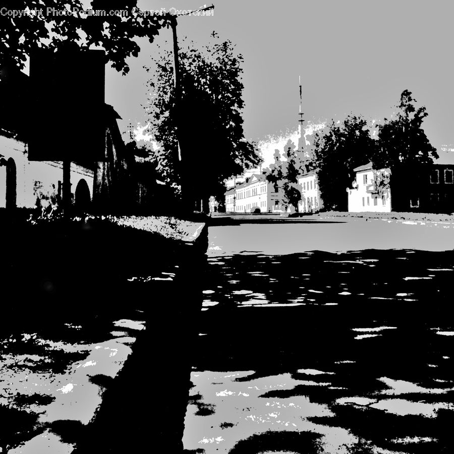Silhouette, Plant, Tree, Architecture, Downtown, Plaza, Town Square