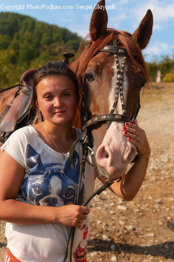 People, Person, Human, Animal, Equestrian, Horse, Leisure Activities